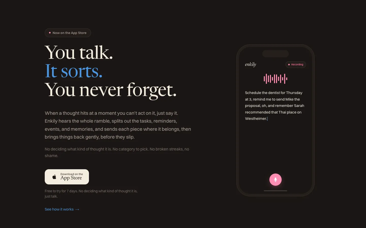 Enkily homepage: you talk, it sorts, you never forget